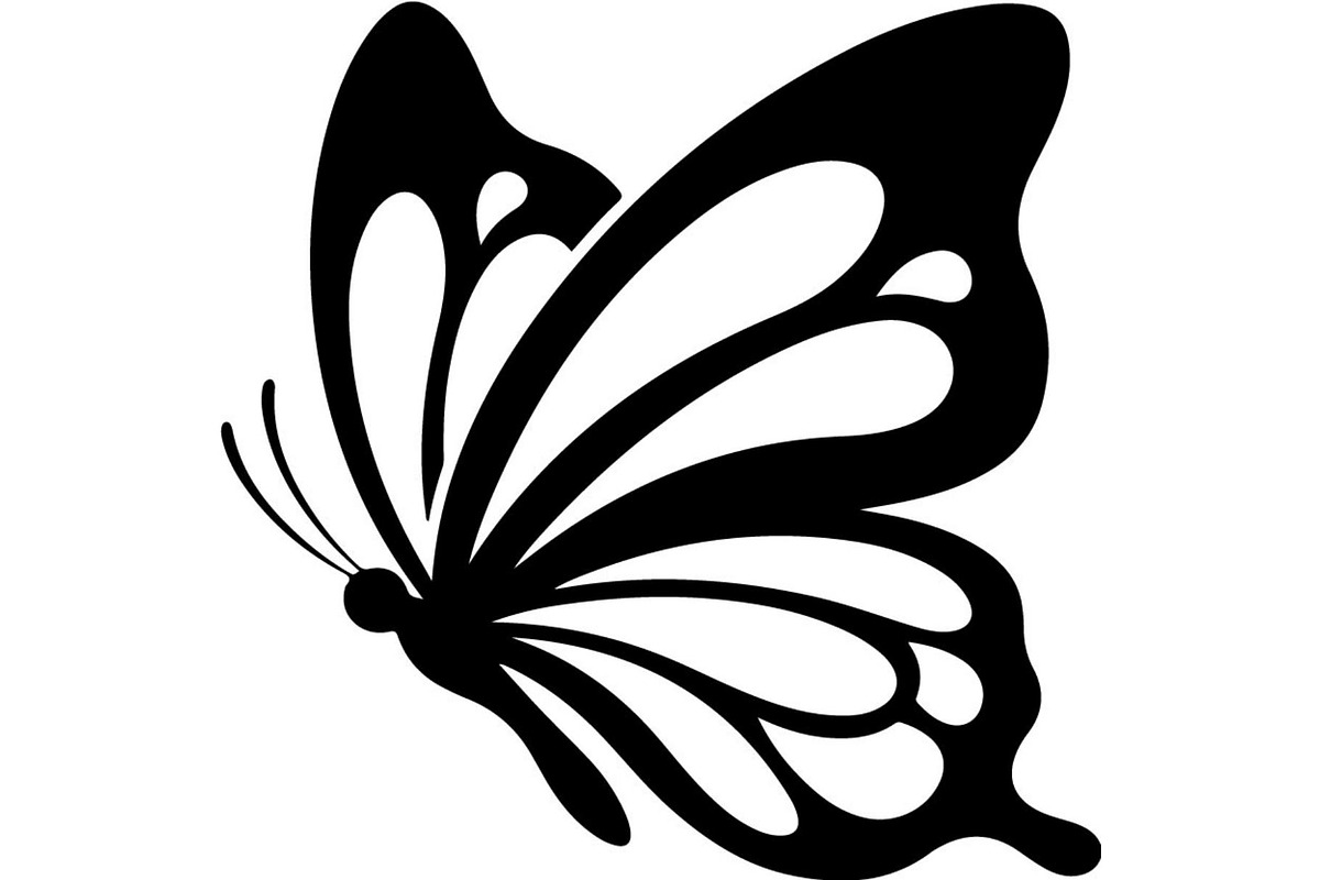Decorative Butterfly Silhouette, an Object Graphic by Creativeshirt (Photo 2 of 16)