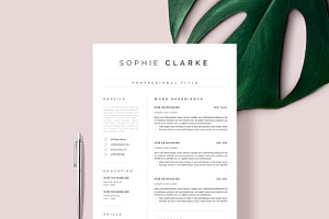 Professional Resume CV Template