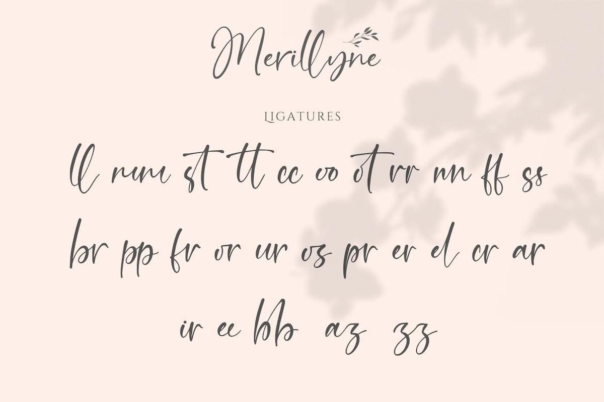 Merillyne Signature - Natural Script, a Handwritten Font by CreateBigSupply (Photo 9 of 9)