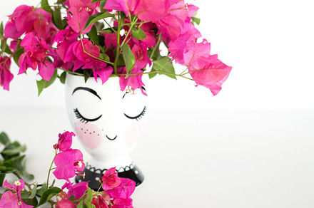 Bougainvillea stock photo 003 stock photo containing styled stock and styled