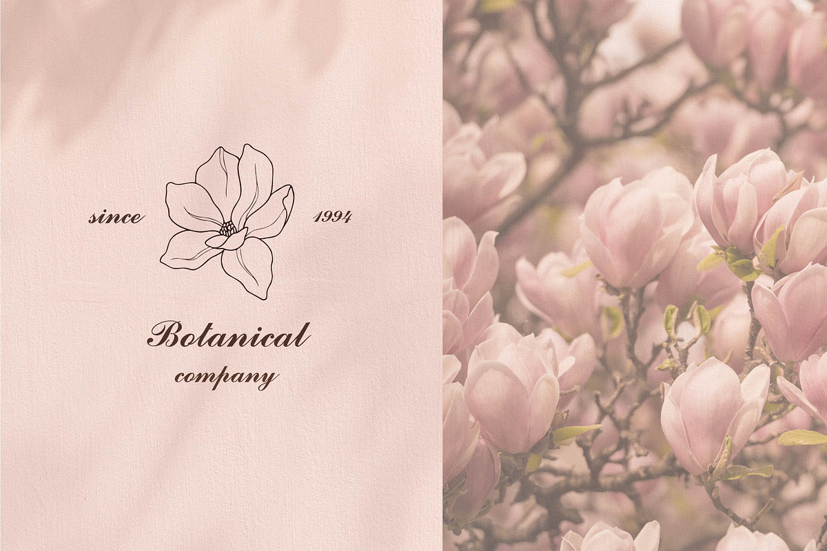Hand drawn magnolia flowers set, an Object Illustration by RaDavCrafts (Photo 4 of 8)