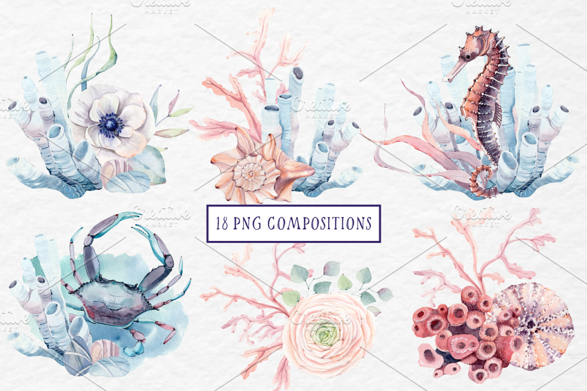 SEA TREASURES Watercolor set, an Illustration by Lemaris (Photo 3 of 7)