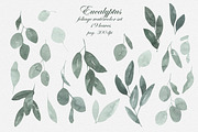 Eucalyptus Foliage Watercolor Set, an Illustration by Catch the Dream Art (Thumbnail 5 of 7)