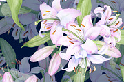 Watercolor clipart white lilies, an Illustration by EshaStudio (Thumbnail 9 of 11)