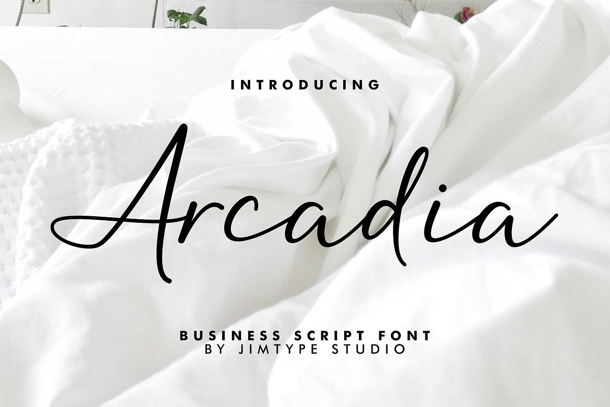 Arcadia - Business Branding Script, a Script Font by Jimtype Studio (Photo 1 of 9)