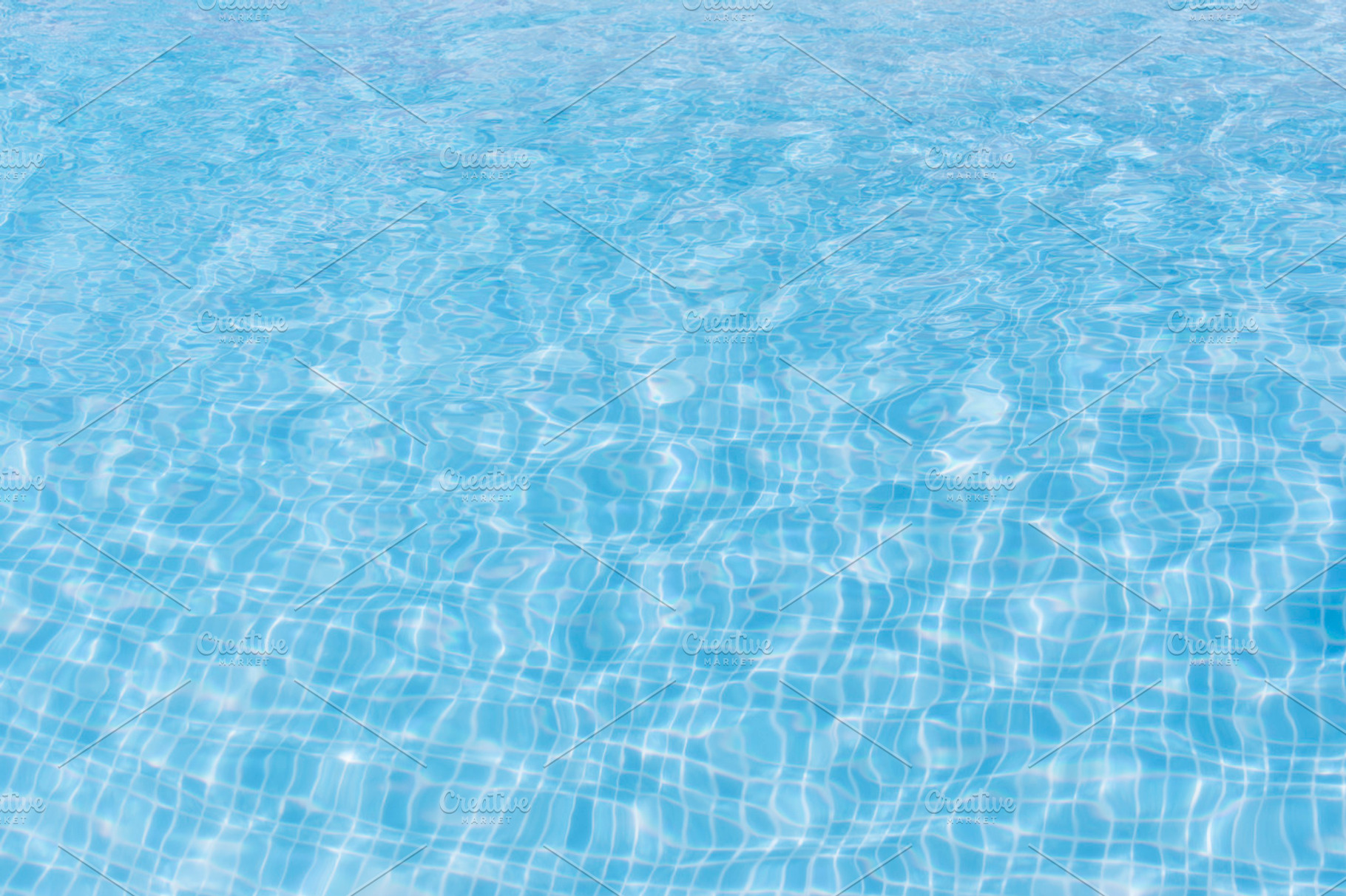 Ground pool containing pool, water, and backgrounds, an Animal Photo by Mayet Photo