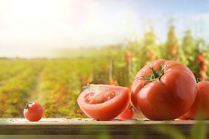 Ripe Tomatoes on a Wooden Table, a Food & Drink Photo by Davizro's Market