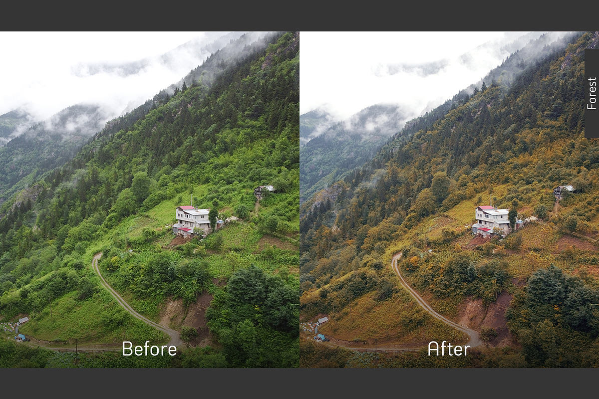 Cinematic Luts Pack, a Plug-in Add-On by Beshr Abdulhadi (Photo 11 of 13)