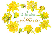Double Daffodils, an Illustration by watercolorwild.graphics (Thumbnail 2 of 6)