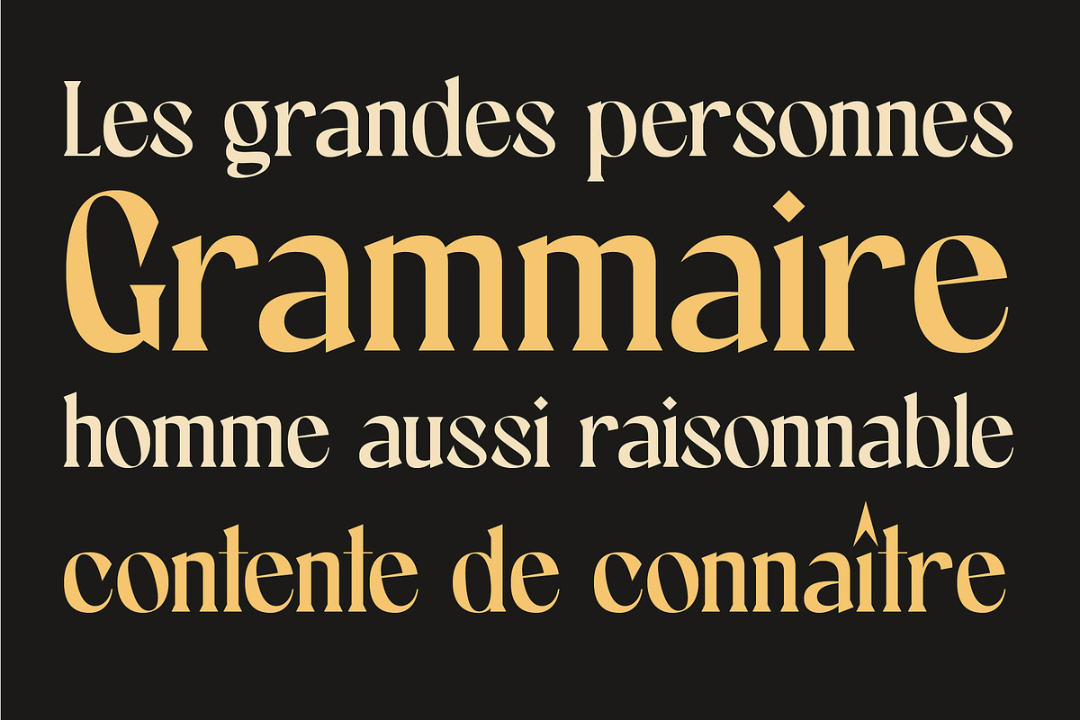 Classic Retro Font Bundle - 80% OFF, a Serif Font by Craft Supply Co. (Photo 6 of 22)