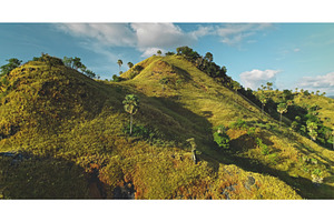 Rolling hills bathed in golden, a Nature Photo by Goinyk