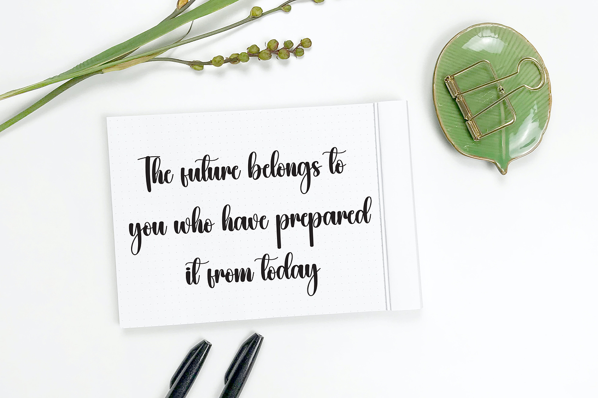 Blushing | Script Font, a Handwritten Font by Scratchones (Photo 3 of 8)