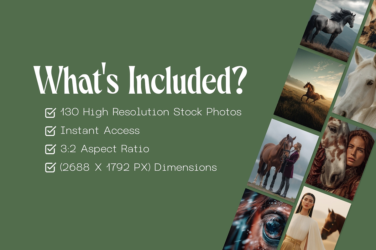 130 Editorial Horse Stock Photos, an Animal Photo by Incomelion (Photo 7 of 20)