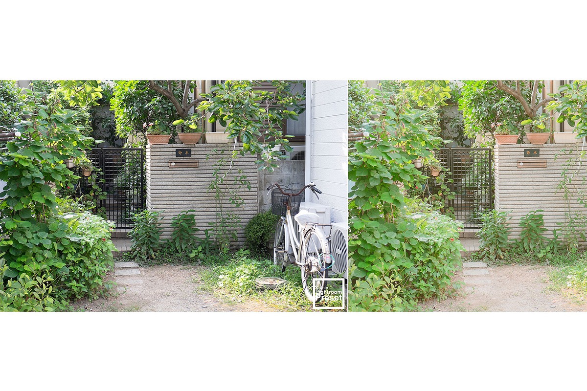 Kamin Japan Mood 2, an Action Add-On by Kamin Lightroom Preset (Photo 3 of 22)
