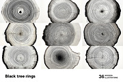 Black tree rings collection, a Decorative Illustration by Handmadefont (Thumbnail 4 of 10)