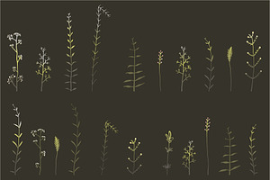 Wild Grass & Herbs Vector Brushes