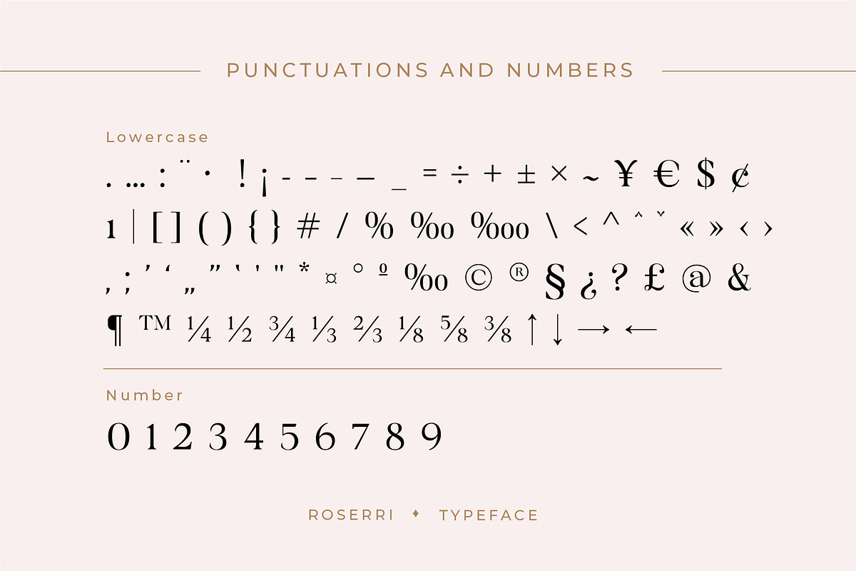 Roserri - Modern Ligature Serif, a Serif Font by Vesvocrea (Photo 14 of 15)