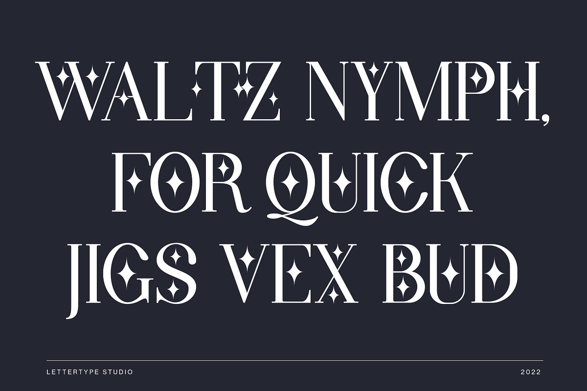 Wondernesia Nostalgic & Modern Serif, a Serif Font by Lettertype Studio (Photo 9 of 15)