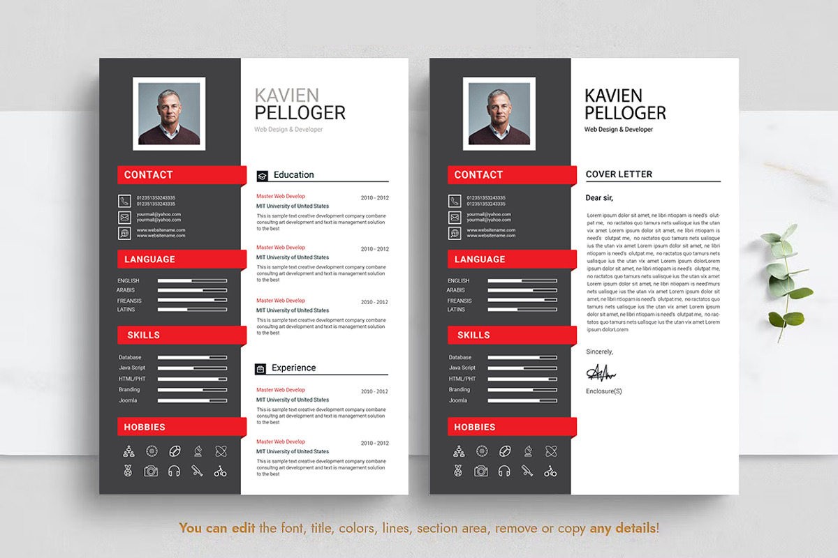 Professional Resume CV Template, a Resume Template by Blackcloud_Creations (Photo 3 of 8)