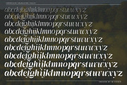 Awesome Gulgina Complete | 243 Fonts, a Serif Font by IM Studio (Thumbnail 14 of 15)