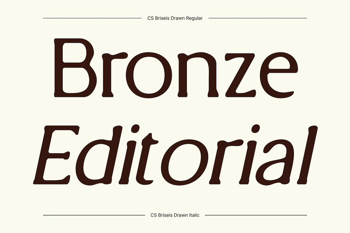 CS Briseis Drawn, a Serif Font by Craft Supply Co. (Photo 4 of 8)
