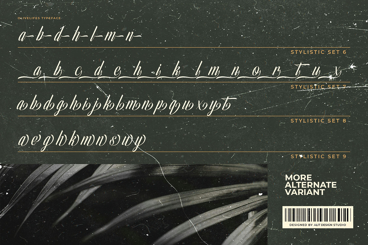 Olivelifes Script Font, a Script Font by alit design (Photo 11 of 15)