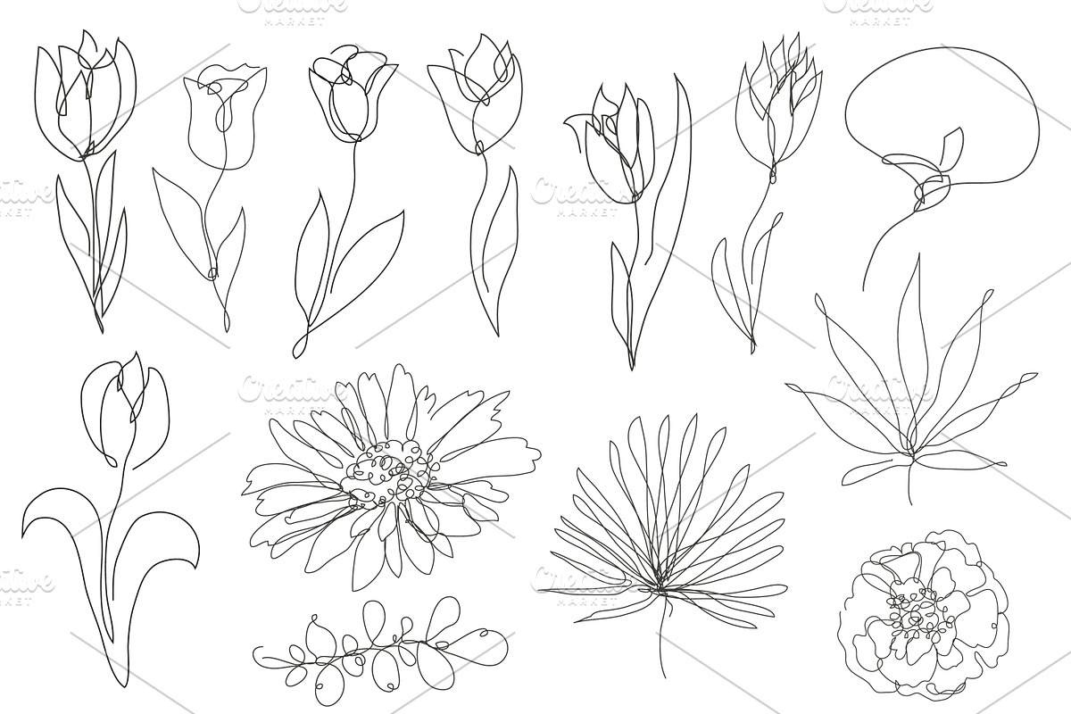 71 Flowers Continuous Line Set, a Decorative Illustration by Sunset&Sea Design (Photo 5 of 8)