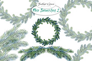 Pine Branches 2, an Illustration by Feather Grace Designs (Thumbnail 3 of 3)