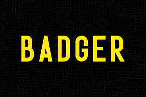 Badger - Dynamic Sans Serif Typeface