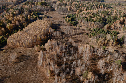 Panorama of colorful autumn fields in Ural