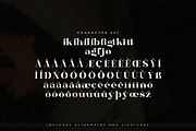 Bagife Modern Serif Font, a Serif Font by Storytype Studio (Thumbnail 14 of 15)