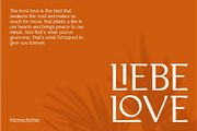MONSCHONE, a Serif Font by Bagerich Type Foundry (Thumbnail 2 of 10)