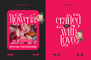 Hello Palisade Family, a Serif Font by Sans & Sons (Thumbnail 3 of 10)