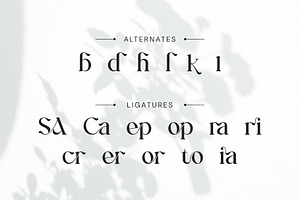 Morika Elegant Serif Font