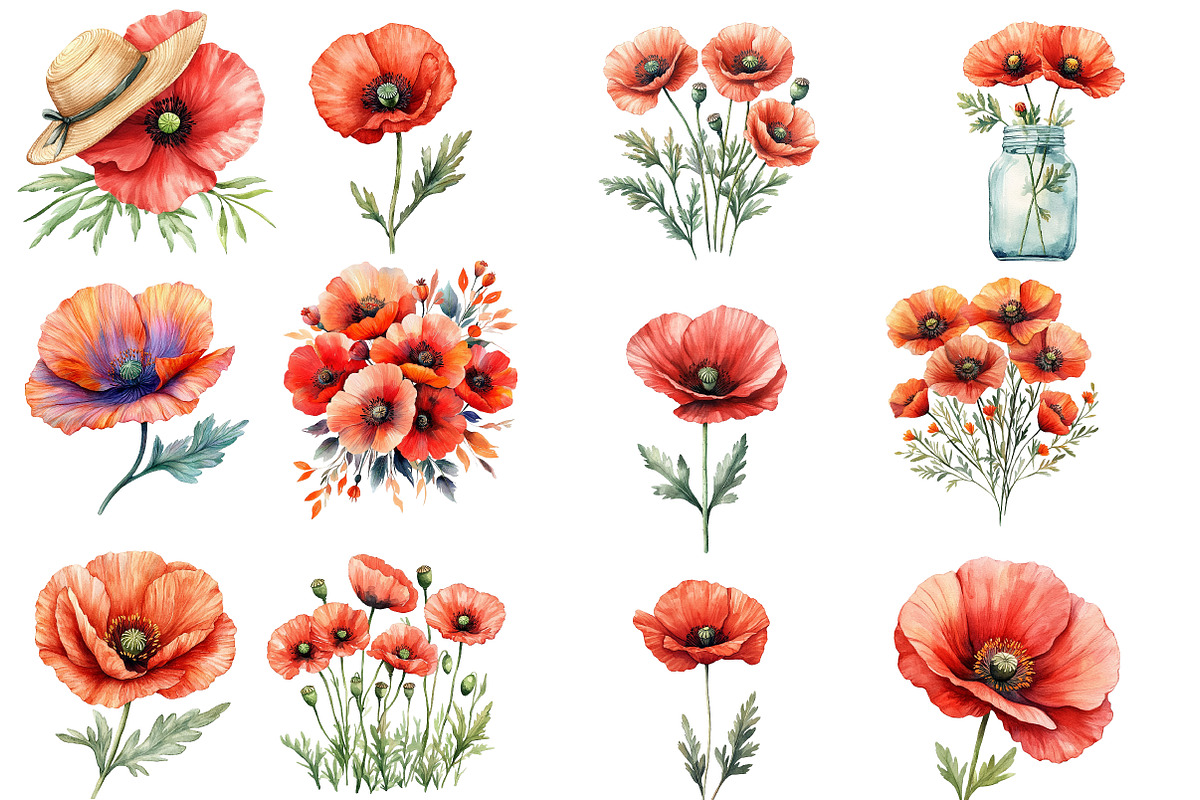 Poppy Flowers Clipart, an Illustration by Designworld (Photo 3 of 4)