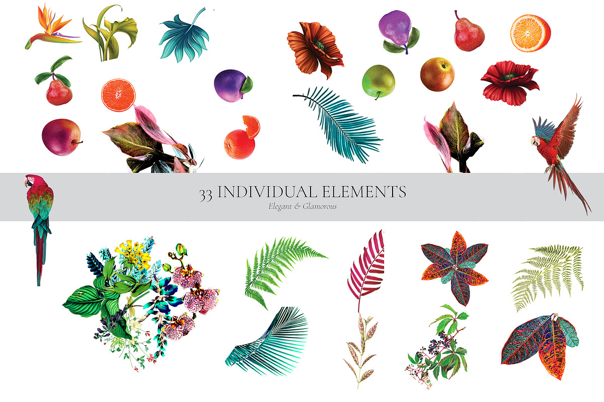 Tropicallia, a Pattern Graphic by Luiz da Rolt Grathwohl (Photo 3 of 13)