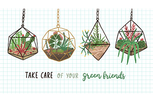 Florarium composition banner, a Decorative Illustration by Good Studio