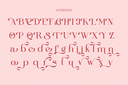 Gareso - Expressive Modern Serif, a Serif Font by Qweera Studio (Thumbnail 10 of 12)
