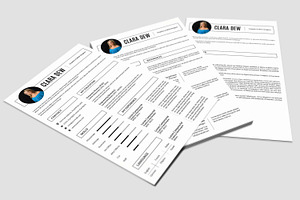 3 Page Resume Template-V025