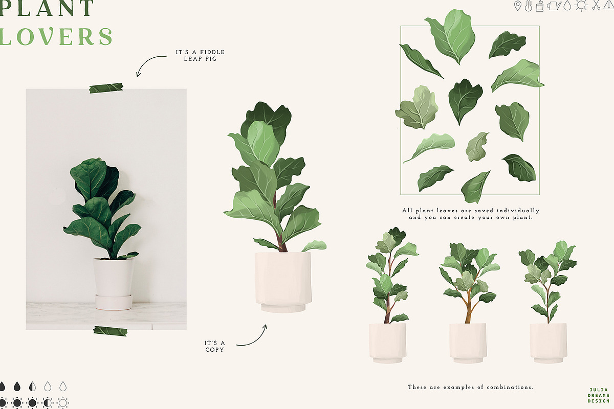 Plant Lovers Collection, a Texture Illustration by Julia Dreams (Photo 5 of 12)