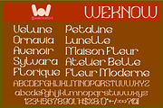 Sweet Emotion Font, a Serif Font by weknow (Thumbnail 5 of 8)