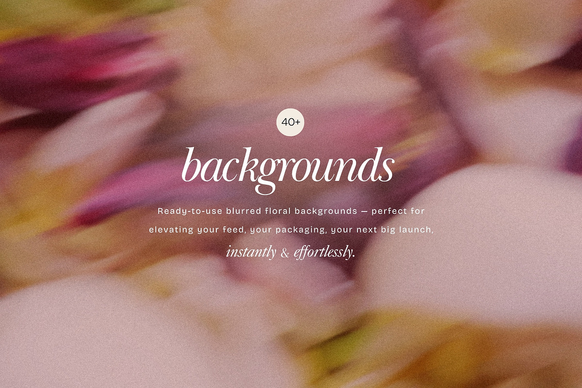 Blur Flower Abstract Backgrounds, a Background Graphic by eclosque (Photo 2 of 27)
