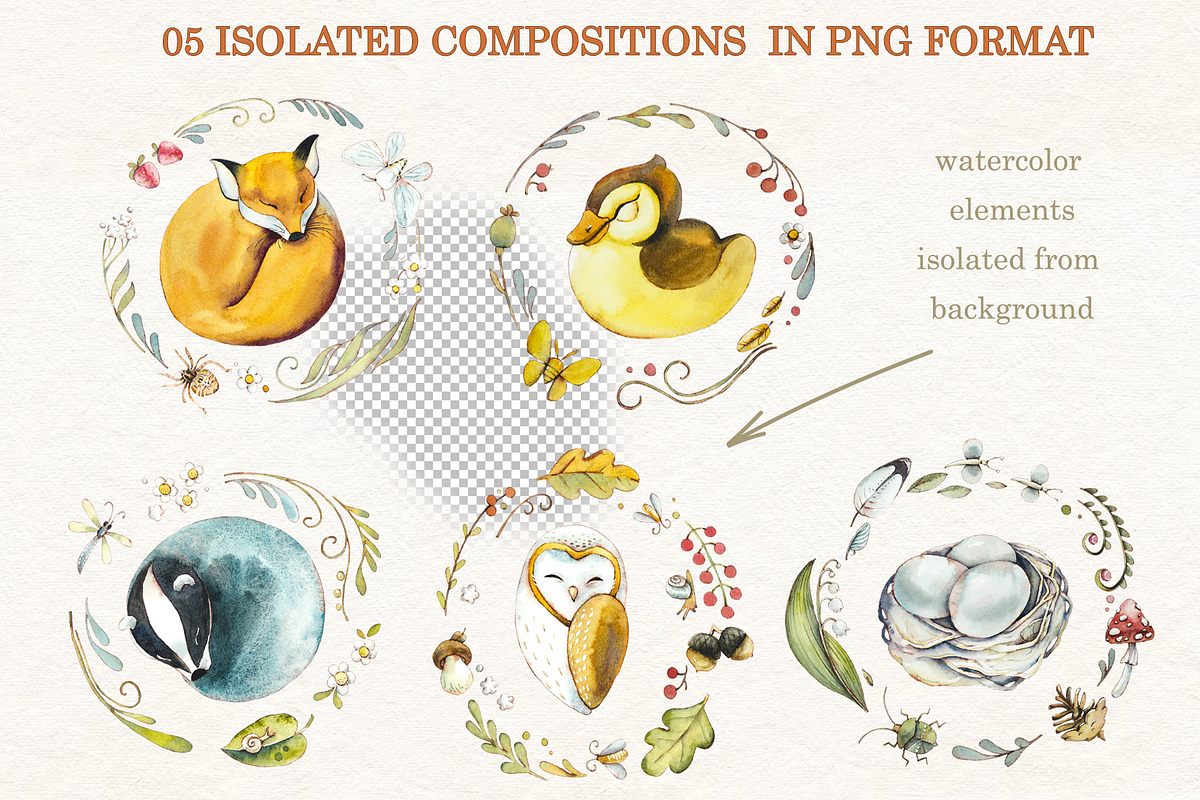 Watercolor Sleeping Animals, an Animal Illustration by Budogoshch (Photo 2 of 6)