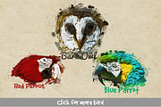 Bird Head Pencil & Watercolor vol 1, an Animal Illustration by Sahade Studio (Thumbnail 3 of 3)