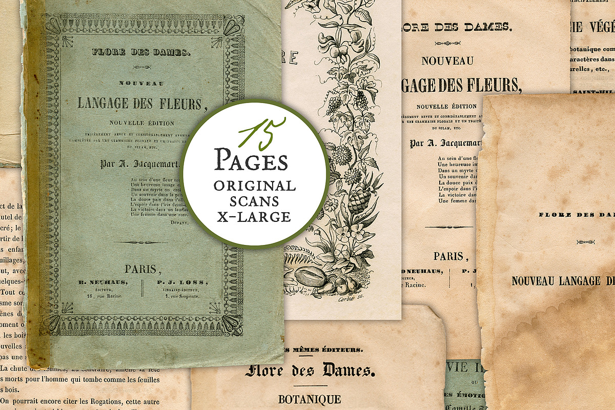 Flore des Dames Vintage French, an Illustration by French Kiss Collections (Photo 9 of 16)