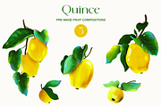 Quince fruit and leaves clipart, a Food Illustration by Harmony Draws (Thumbnail 4 of 7)
