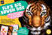 Flo’s Big Procreate Brush Box, a Brush Add-On by ArtwithFlo (Thumbnail 1 of 35)