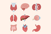 Set of human internal organs, an Education Illustration by Yayasya (Thumbnail 1 of 3)