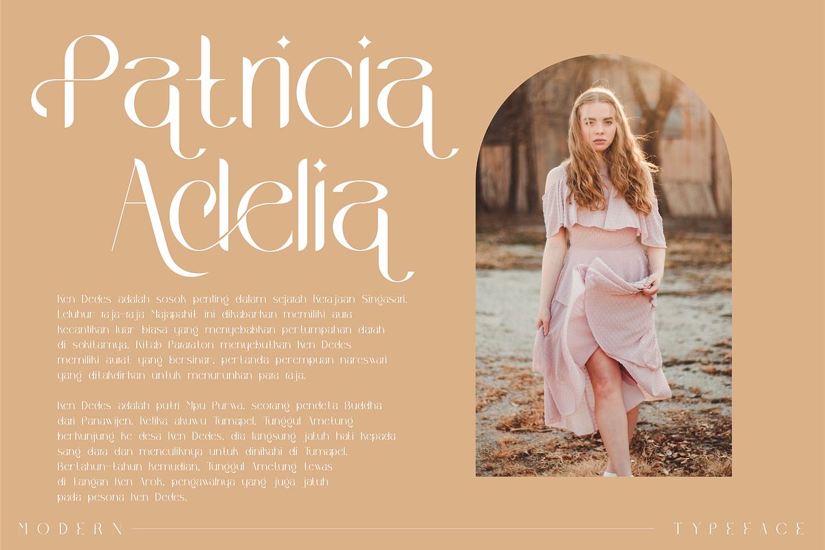 Wakile Stylish Serif Font, a Serif Font by Storytype Studio (Photo 2 of 9)