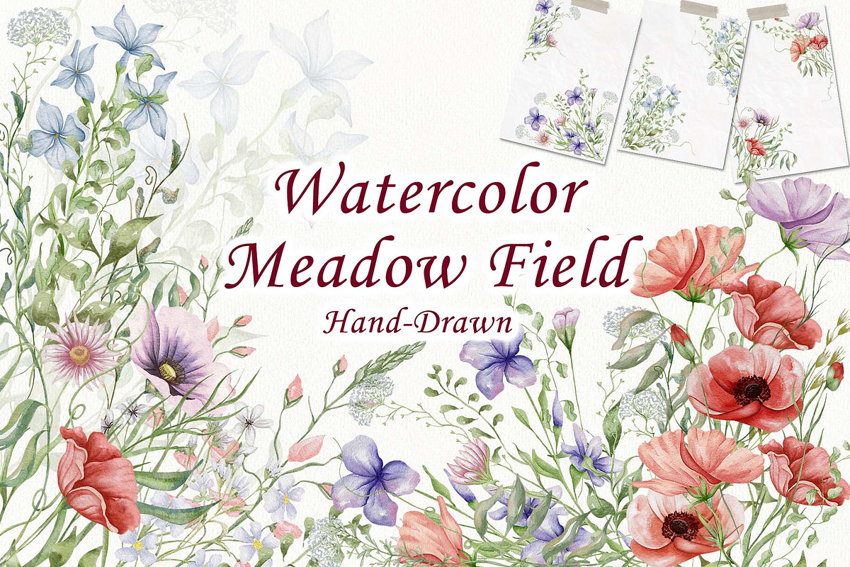 Watercolor Wildflowers Botanical Set, a Decorative Illustration by BarvArt (Photo 1 of 22)